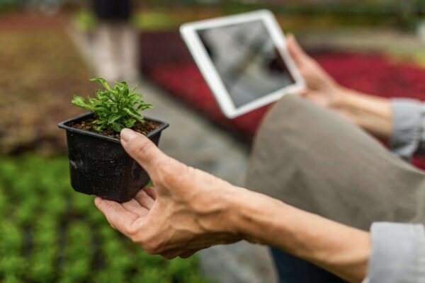 gardening gadgets